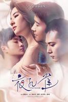 《夜孔雀》高清电影在线播放,大陆爱情片,完整版观看