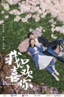 我只喜欢你-免费在线观看-下载-电视剧