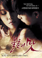 《出嫁的妹妹》全集电视剧免费观看-完整版